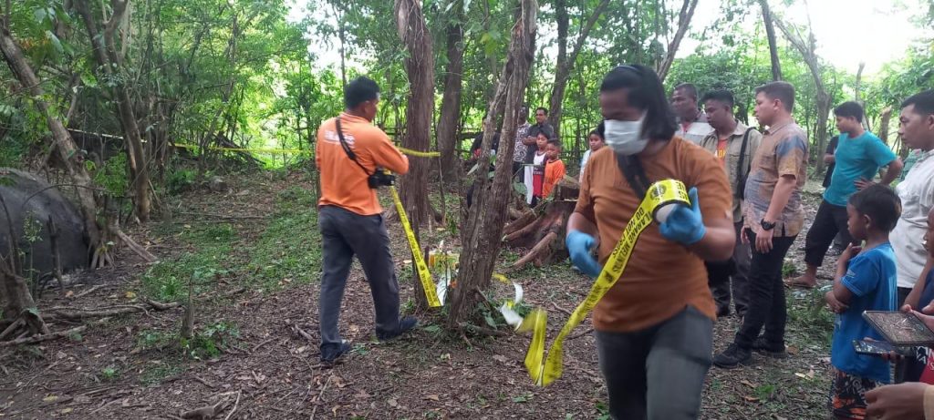 Penanganan Bangkai Gajah Liar Mati di Desa Paya Udeung, Nagan Raya