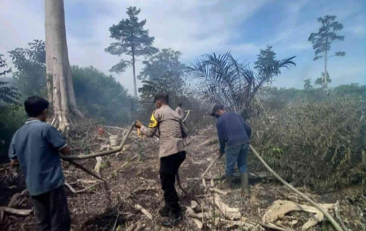 Penanganan & Upaya Pemadaman Karhutla Milik Hgu Pt. Gsm Di Desa Pulo Kruet Pada Hari Ke Dua